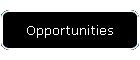 Opportunities